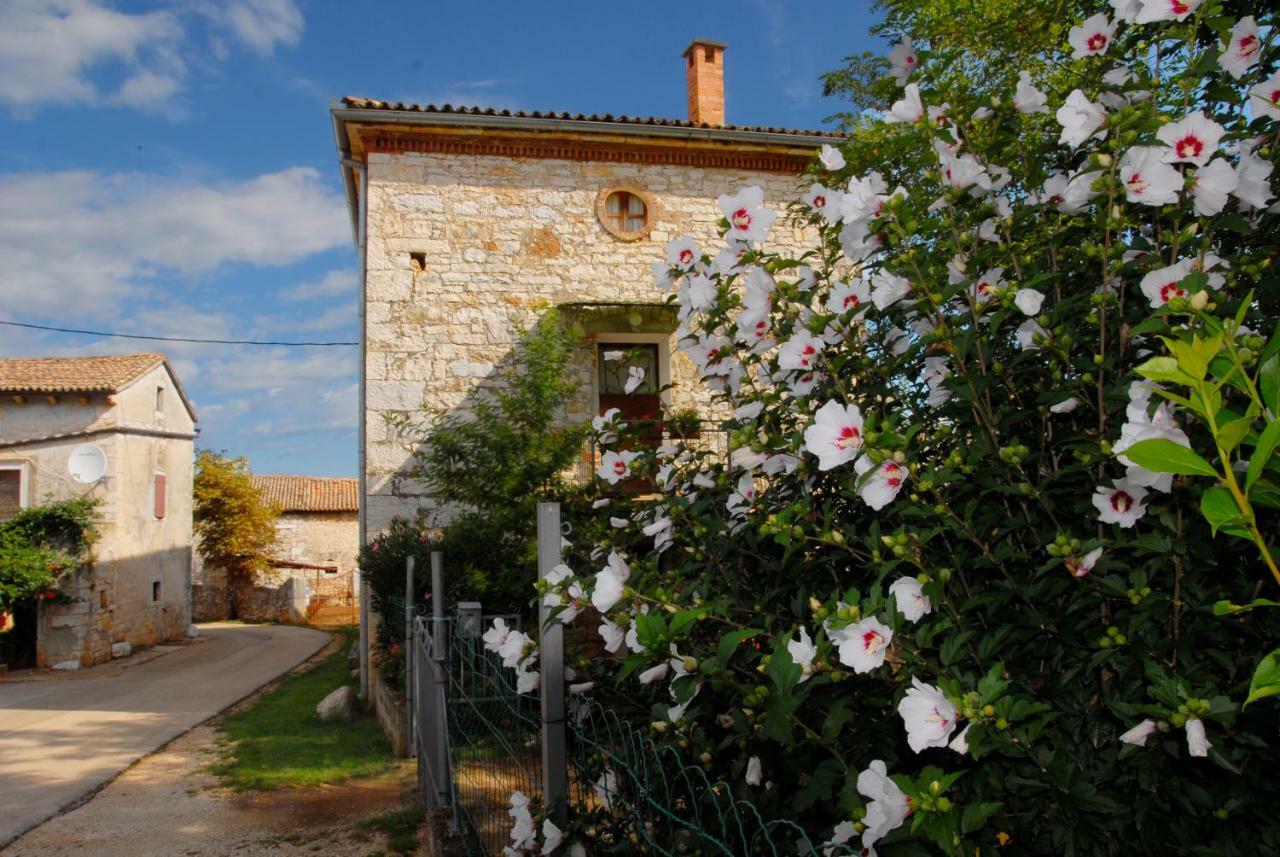 Nova Vas  Nature House Jasenka מראה חיצוני תמונה